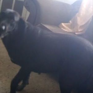 Meet your Posher, Tonya